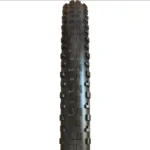 Maxxis Minion DHF (20×2.4″)