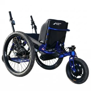 Mountain Trike eTrike