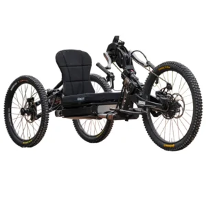 Bowhead Rogue (HardTail)