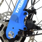 TriRide TriBike Manual