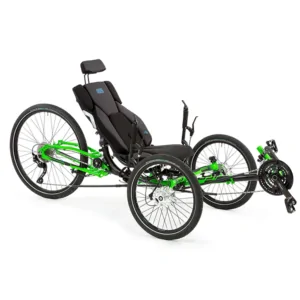 Ice Trikes Adventure